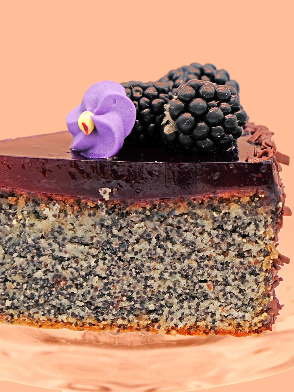riviera 1955 cake fruits blackberry